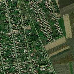 Stepanovićevo map(satellite map)