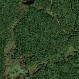 Penobscot County map(satellite map)