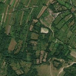 Comuna Turnu Rueni map(satellite map)