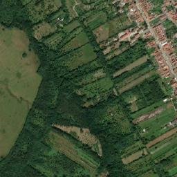 Muntele Mic map(satellite map)