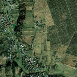 Grebănu map(satellite map)