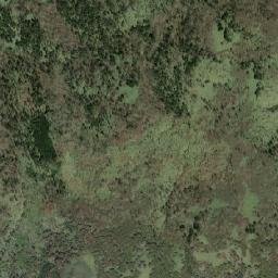 Rebun Gun map(satellite map)