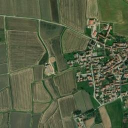 Nibbiola map(satellite map)