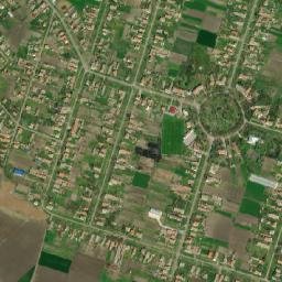 Banatski Despotovac map(satellite map)