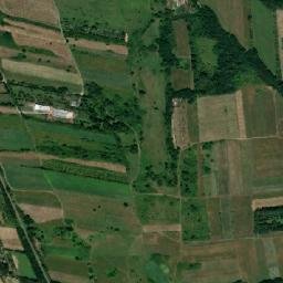 Buchin map(satellite map)