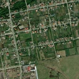 Denta map(satellite map)