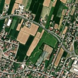 Bojon-Lova map(satellite map)
