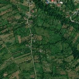 Nucşoara map(satellite map)