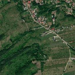 Oraş Pãtârlagele map(satellite map)