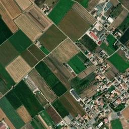 Malavicina map(satellite map)
