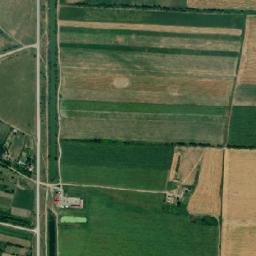 Pardina map(satellite map)