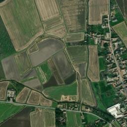 Nicorvo map(satellite map)