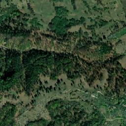 Comuna Berevoeşti map(satellite map)