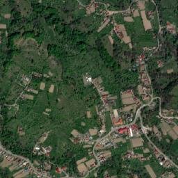 Cicănești map(satellite map)