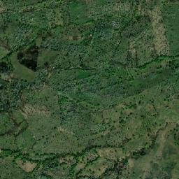 Comuna Mioarele map(satellite map)