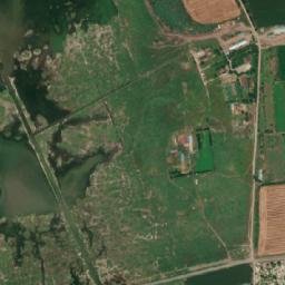 Movila Miresii map(satellite map)