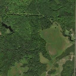 Taylor County map(satellite map)