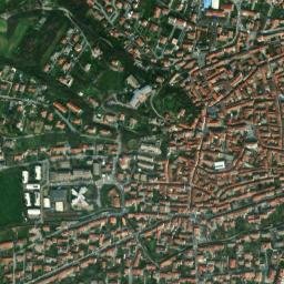 Volpiano map(satellite map)