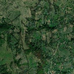 Cetăţeni map(satellite map)