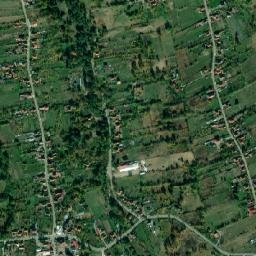 Cărpiniș map(satellite map)