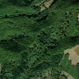 Bărbăteşti map(satellite map)