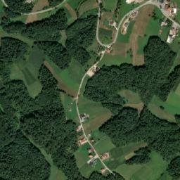 Podzvizd map(satellite map)