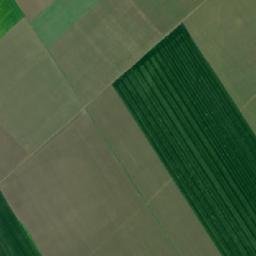Robeasca map(satellite map)