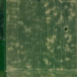 130th Ave SE Murdock MN 56271 High Resolution Satellite Map