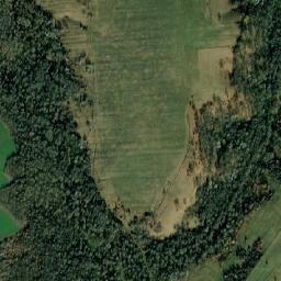 Comuna Ticvaniu Mare map(satellite map)