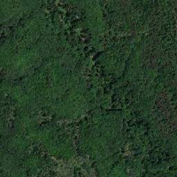 Comuna Schela map(satellite map)