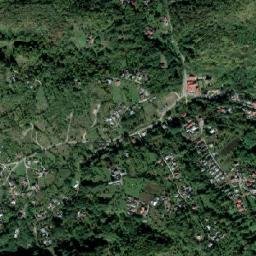 Poiana Copăceni map(satellite map)