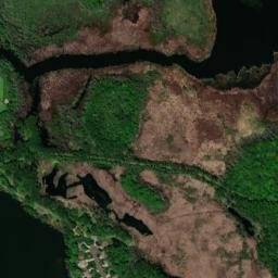 Lino Lakes map(satellite map)