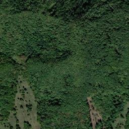 Cosmina de Jos map(satellite map)