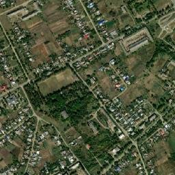 Nekrasovskaya map(satellite map)