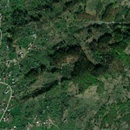 Râu Alb de Jos map(satellite map)