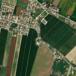 Vescovana map(satellite map)