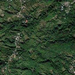 Telega map(satellite map)