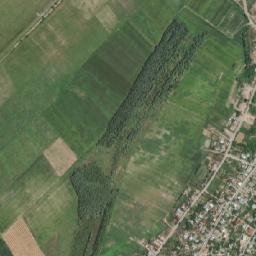Turcoaia map(satellite map)