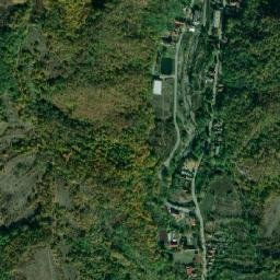 Săcelu map(satellite map)