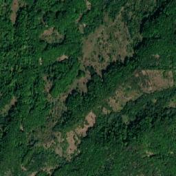 Vişineşti map(satellite map)