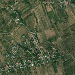 Comuna Pietroasele map(satellite map)