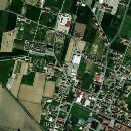 Borgo San Martino map(satellite map)