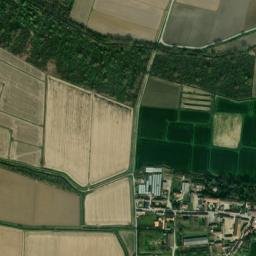 Villa Biscossi map(satellite map)
