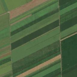 Bordei Verde map(satellite map)