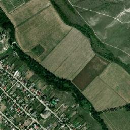 Michurinskoye map(satellite map)