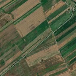 Ţinteşti map(satellite map)