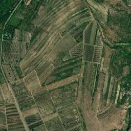 Comuna Gura Vadului map(satellite map)
