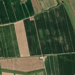 Provincia di Rovigo map(satellite map)