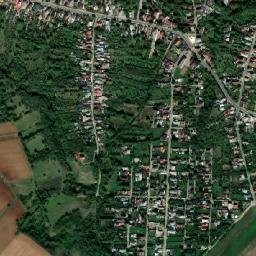 Țintea map(satellite map)