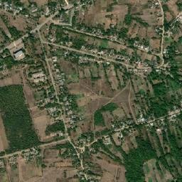 Vysotskoye map(satellite map)